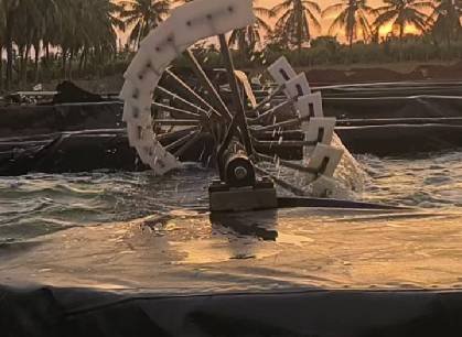 Algae Cultivation Agitators