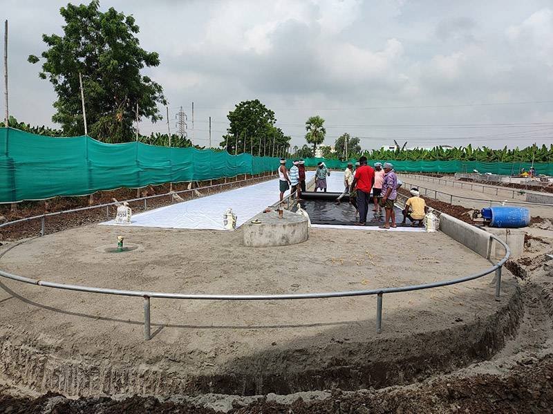 Government Subsidy for Spirulina Cultivation
